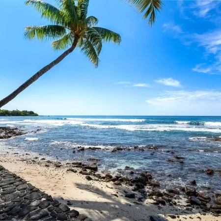 Direct Oceanfront Condo with AC, Amazing Sunsets, Tide Pools, Turtles & Surfers