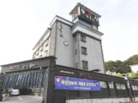 洪川阿爾卑斯 洪川郡酒店