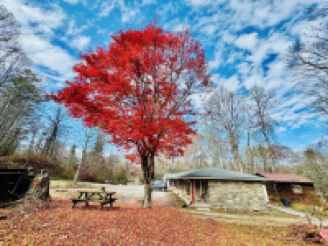 Parkview Lodge & Cabins Hotels in Avery County
