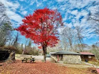 Parkview Lodge & Cabins
