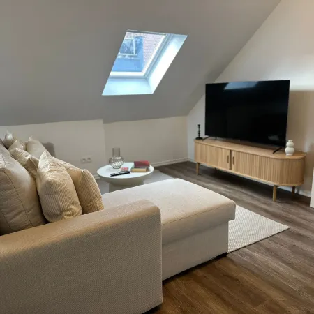 Cozy 1BR plus LR Apt Ghent Gravensteen
