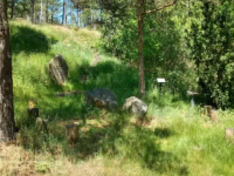 4 Person Holiday Home in Fårvang