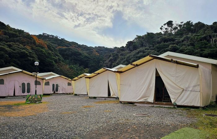 Sloth Glamping