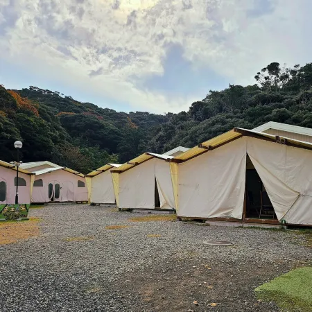 Sloth Glamping