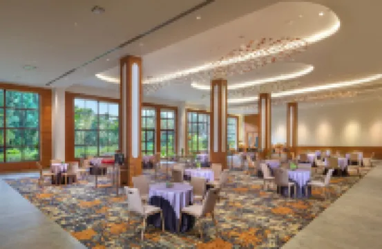 게이트웨이 고아, 팔로렘