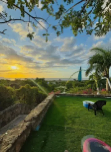 Villa Mohana Hotels in 