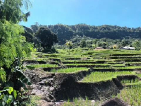 Damar Loka Ciletuh Hotels in Ciemas