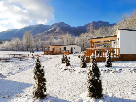 Rai Lodges Bran - Predelut Hotels in 