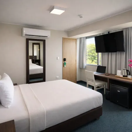 Palmetto Hotel Business San Miguel