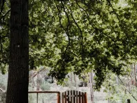 Kookaburra Cottage at Fern Gulley Hotels in Nannup