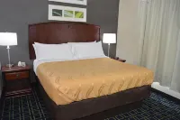 Quality Inn & Suites Dublin - Pet friendly