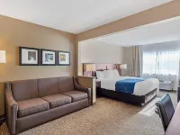Comfort Suites Normal University Area Hotels in McLean County
