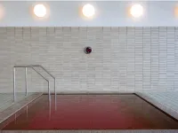 Irago Ocean Resort - Hot Springs