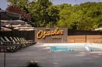 The Ozarker Lodge - piscina