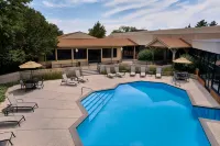 Fort Collins Marriott - Pools