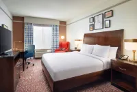 Hilton Garden Inn El Paso Airport - bar