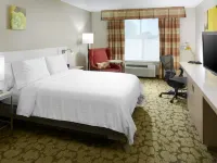 Hilton Garden Inn Savannah Midtown Hotels near Memorial Stadium