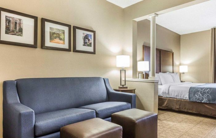 Comfort Suites at Isle of Palms Connector