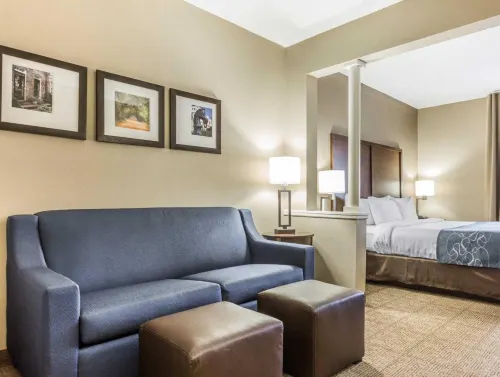 Comfort Suites at Isle of Palms Connector - 2-Star