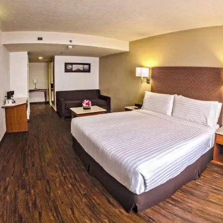 Holiday Inn ORIZABA by IHG