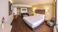 Holiday Inn ORIZABA by IHG - 3 étoiles
