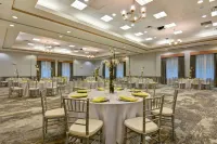 Hilton Garden Inn Lake Buena Vista/Orlando - bar