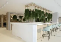 新弗瑞烏里酒店 - 酒吧