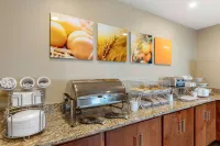 Comfort Inn White House - 2-Star
