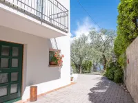 Verdin - Homestays