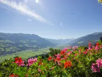 Brandegg Top 1 - 4-Star