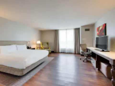 Hilton Garden Inn North Houston/Spring Hotels in Spring