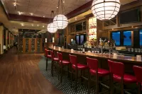 Hilton Daytona Beach Oceanfront Resort - bar