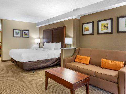 Comfort Inn & Suites Near Danville Mall