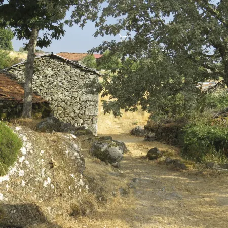 Comfortable Rural Cottage in Ancient Village in the Douro Region