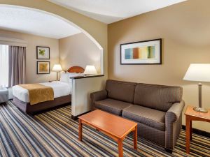 Comfort Suites Chesapeake - Norfolk