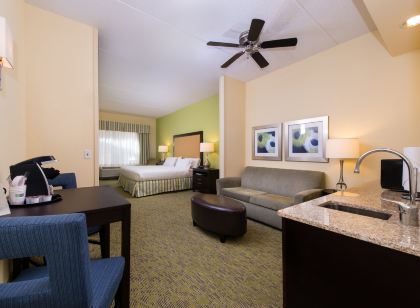 Holiday Inn Express & Suites Dickson City - Scranton