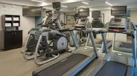 Holiday Inn ST. PAUL DOWNTOWN by IHG - Gym
