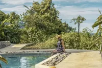 La Tigra Rainforest Lodge Hotels in San Ramon