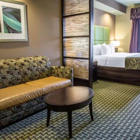 Comfort Suites New Bern Near Cherry Point