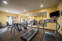 Quality Inn Litchfield Route 66 - Phòng Gym