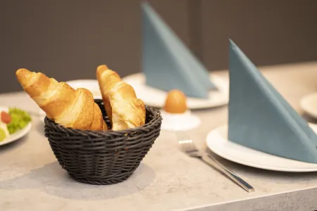 Signature Hotel Skarv Отели в г. Кольмар