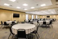 Comfort Suites - WiFi
