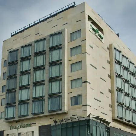 The Fern Jaipur, Series by Marriott