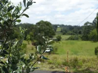 Winston Cottage - parkir