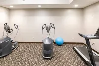 Rodd Royalty - Gym