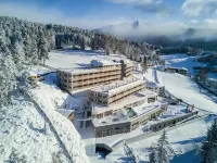 NIDUM - Casual Luxury Hotel - que admiten mascotas