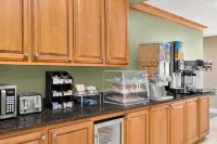 Microtel Inn & Suites by Wyndham Woodstock/Atlanta North - petit déjeuner