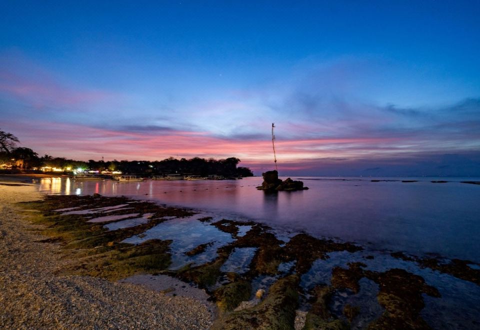 4. 머쉬룸 비치 방..