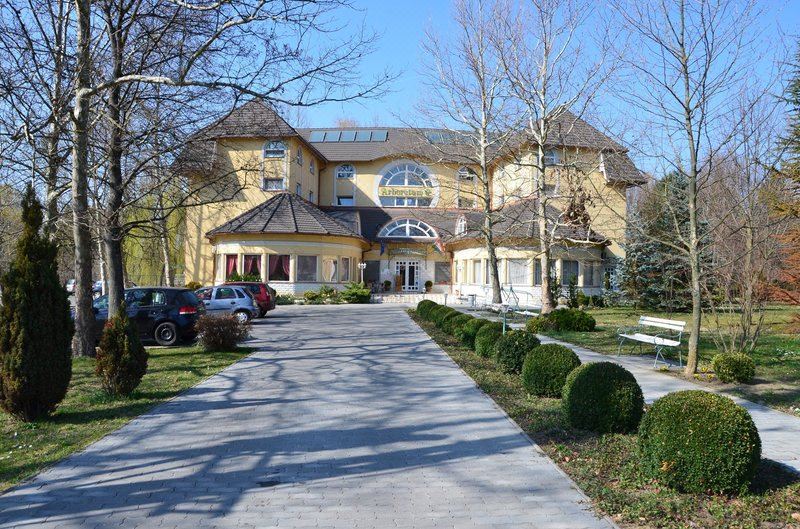 a large yellow house with a car parked in front and trees lining the driveway at Hotel Arborétum