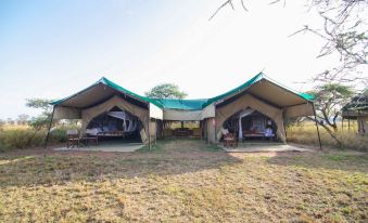 Angata Ngorongoro